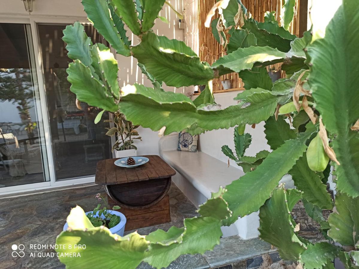 Cactus Home Каламаки Экстерьер фото